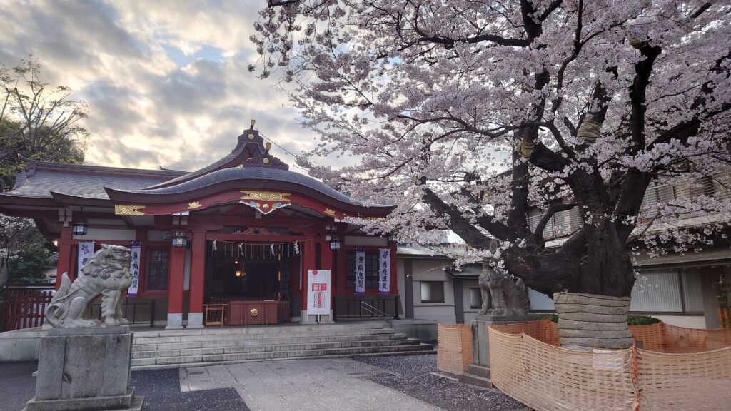 社殿と満開の桜