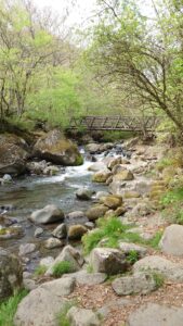 creak and bridge to Doryu no taki