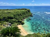 「豊かだった海を、もう一度」― 八重山漁協が国内初成功させたサンゴ完全養殖の物語