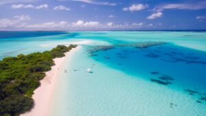 海に「触れない時間」を贈る — クック諸島、ラウイが育てる豊かな海