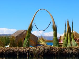 「せめて、少しでも」— ボリビア、先住民の若者たちが在来の草で母なる湖を癒す