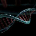 世界初の承認、その日から検証が始まった ― iPS細胞と「届く範囲」を広げる20年
