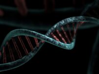 世界初の承認、その日から検証が始まった ― iPS細胞と「届く範囲」を広げる20年