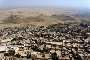 甦る「エデンの園」— イラク、住民自らが取り戻す文明の水の根