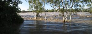 スリランカのサイクロン洪水と市民の救助網 — 二時間で立ち上がった一つのフォームから
