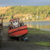 チリ・チロエ島の石積み「コラリートス」と日本の石干見 ― 卵の一部だけを採る海の作法